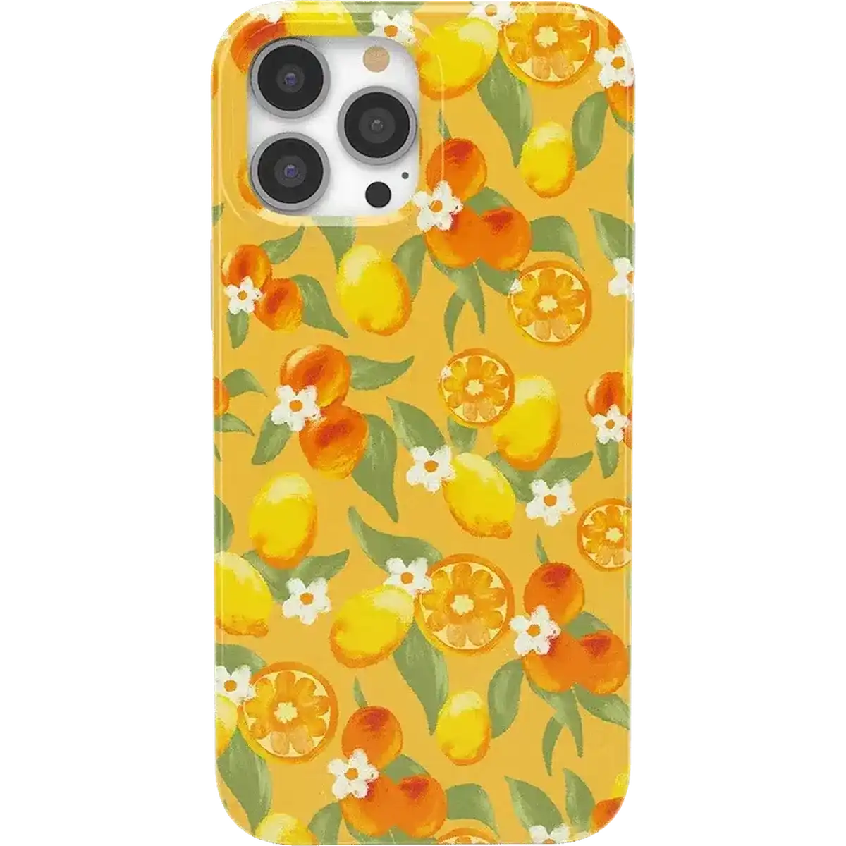 Positano | Dippin' Daisy's Italian Coast Case