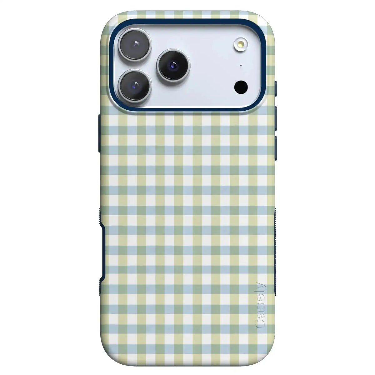 Pastel Picnic | Blue & Green Gingham Case