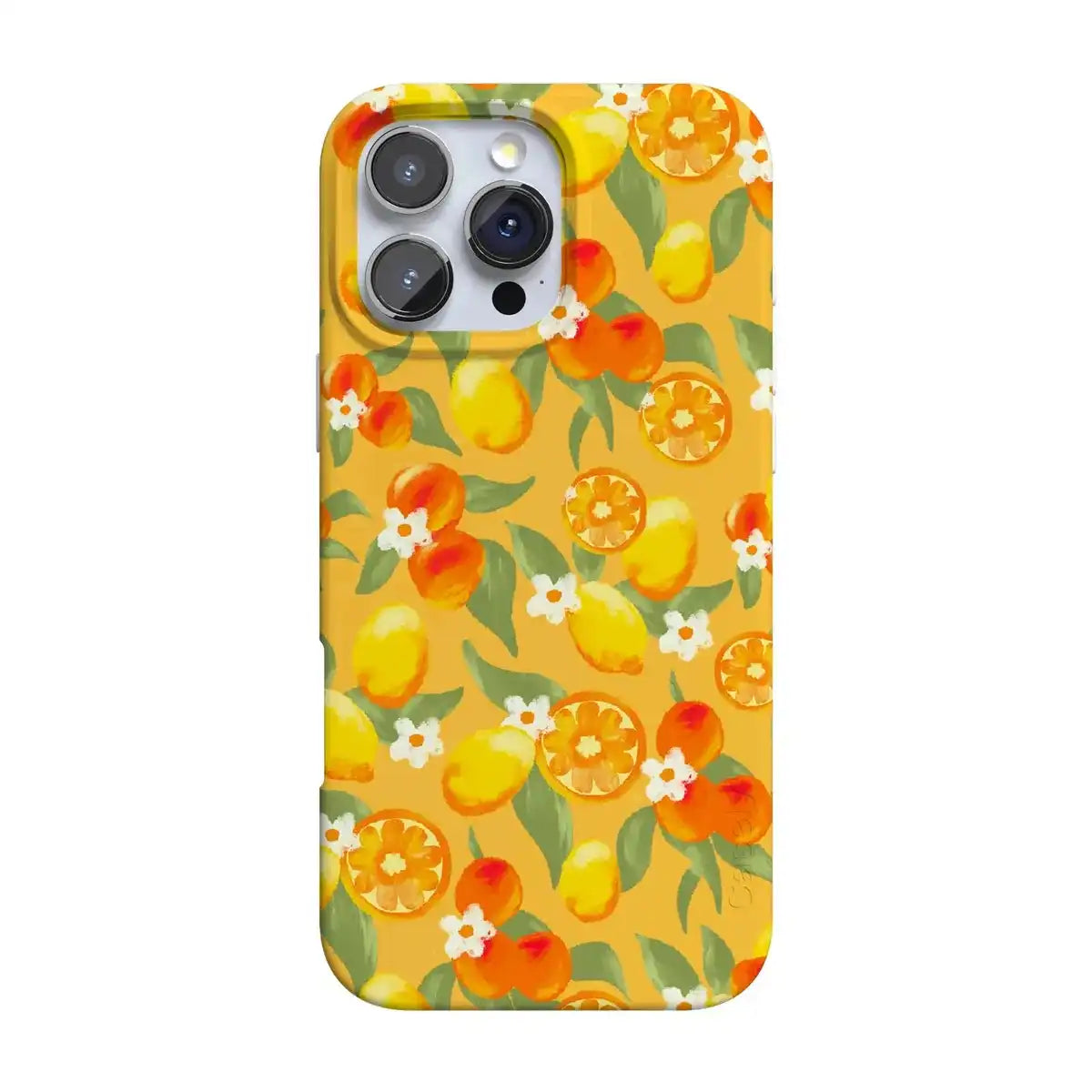 Positano | Dippin' Daisy's Italian Coast Case