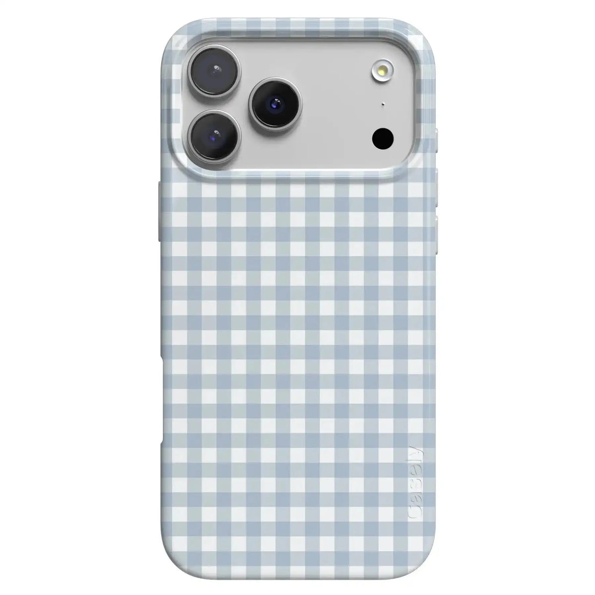 Pastel Picnic | Blue Gingham Case